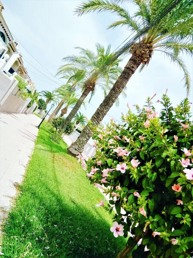 فيلا Casa Ilda غران ألاكانت المظهر الخارجي الصورة